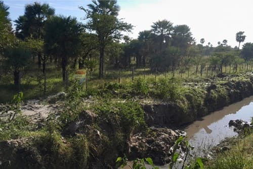 Propiedad de 9 has - desvío ruta 4ta