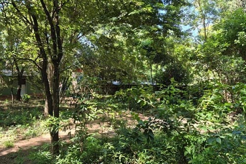 Terreno en venta Ytororo 2.500 m2 — foto 3