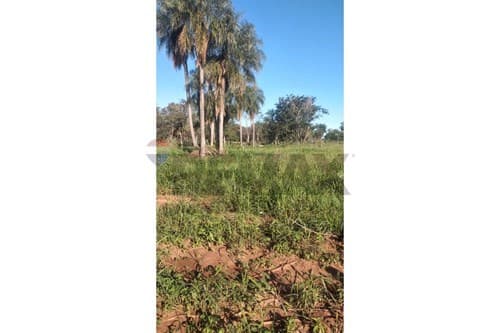 60 Hectareas de tierra!!! — foto 2