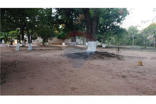 Amplio terreno en Mariano Roque Alonso, foto 5