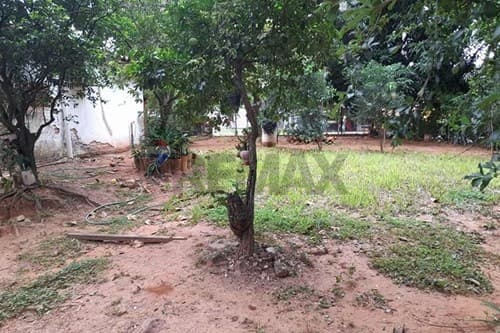 ¡Terreno de gran extensión sobre ruta en venta!, foto 5