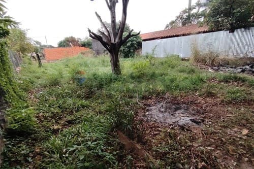 Terreno 420m2 laurelty - Luque — foto 5