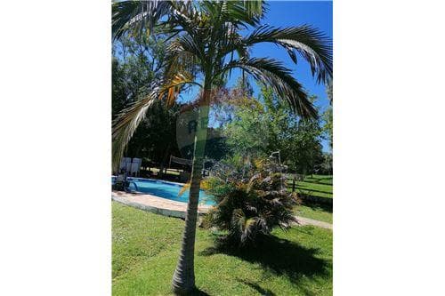 Casa amoblada con piscina en caacupe — foto 4
