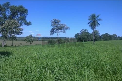 Terreno en venta Caaguazu Dr. Juan Manuel Furtos — foto 5