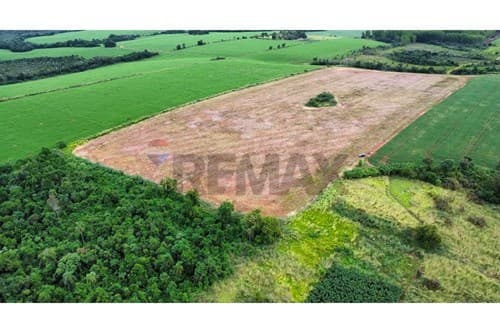 ¡Inversión Unica en Minga Guazú, Alto Paraná!, foto 2