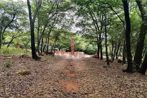 Terreno Ideal en Ypacaraí Invierte en tu Futuro, foto 3