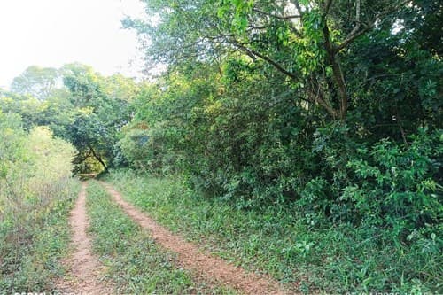Terreno en venta- paraguari — foto 2