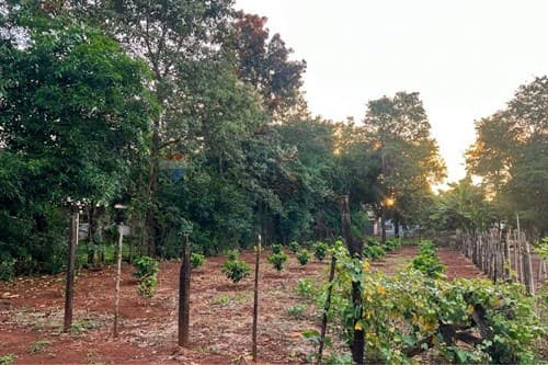 Terreno en Km 5 Monday – Presidente Franco