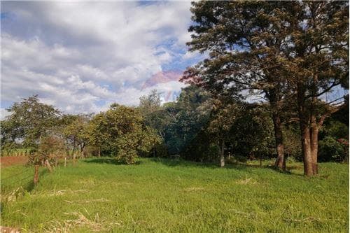Propiedad agrícola de 4 has con 7.333 m2, foto 2