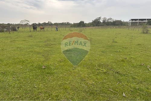 En venta–amplia propiedad en benjamín aceval, foto 4