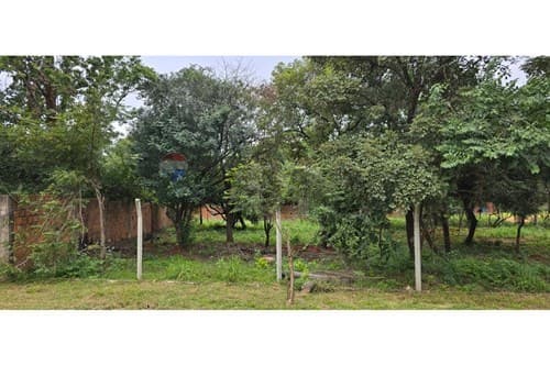 Terreno en venta - Luque, barrio zarate isla — foto 1