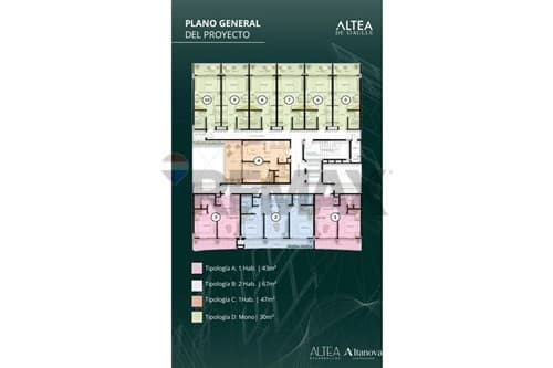 ALTEA DE GAULLE | Inversión en Asunción, foto 3