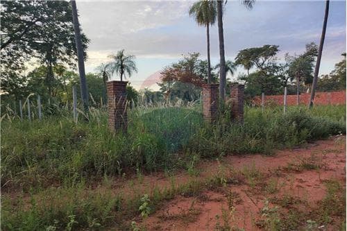 Terreno en pindolo aregua — foto 4