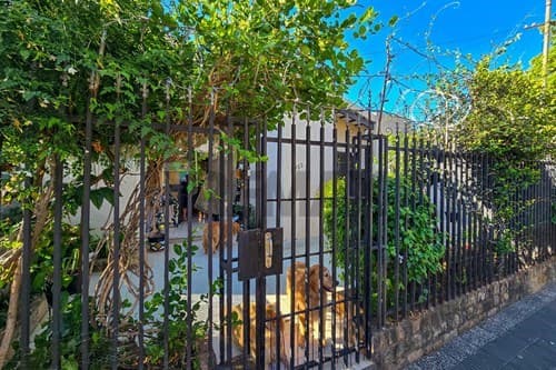 Amplia Casa en Trinidad - Zona Artigas y M. López — foto 4