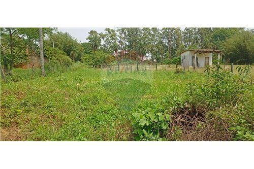 Tinglado centro de tañaraindy-san ignacio — foto 3