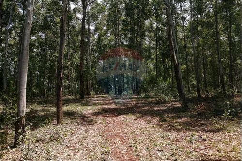 Terreno ubicado a 1000 metros del centro de cambyreta!! — foto 3