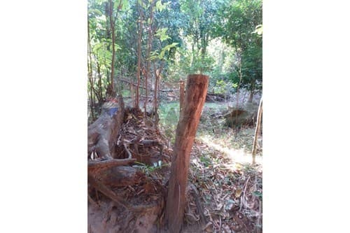 En venta terreno de 4 hectáreas en La Colmena, foto 5