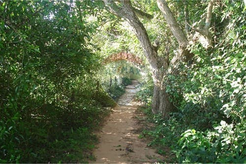 de Amplio Terreno en Eusebio Ayala — foto 1