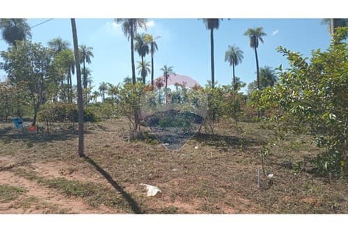 Terreno en venta en loma grande — foto 3