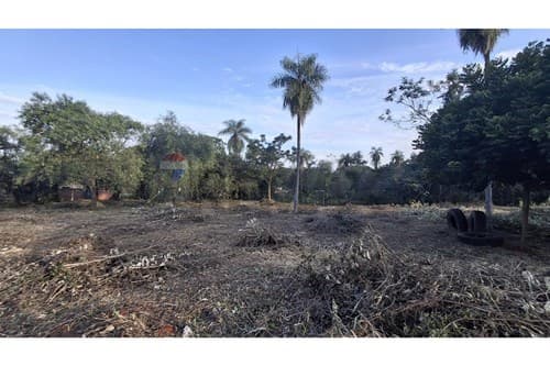 4 terrenos juntos en Luque/marambure — foto 5