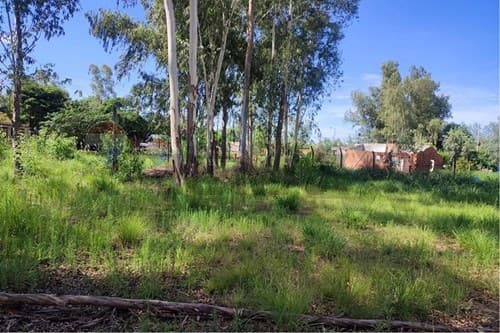 terreno en Limpio, foto 3