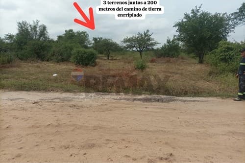 3 terrenos juntos en la ciudad de ypane — foto 5