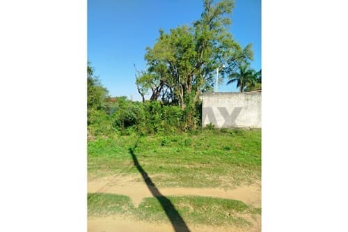 En Venta 3 Lotes junto Fraccion El Peñon Limpio, foto 3