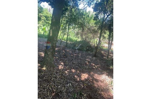 Terreno en Caacupe, foto 3