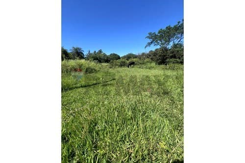 Vento amplio terreno en itaugua - arsenio erico — foto 3
