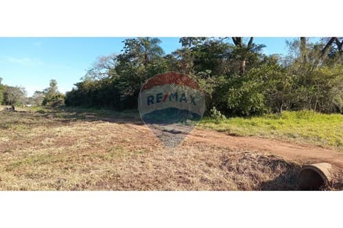 "Oportunidad Única: Terreno en Coronel Bogado", foto 2