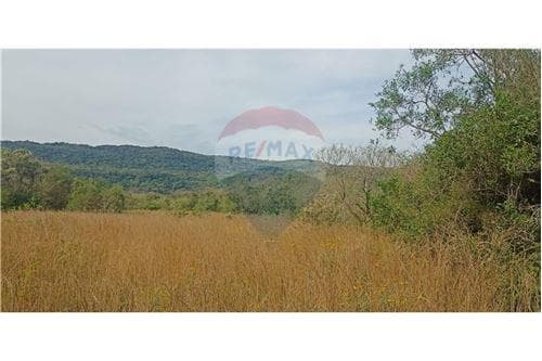 Terreno en paraguari — foto 4
