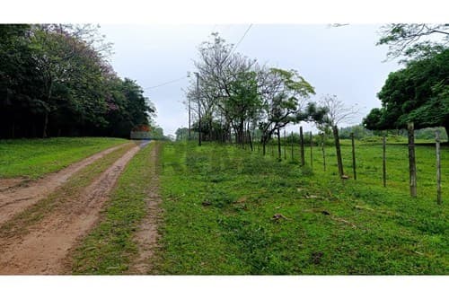 Terreno en venta de 11 hectáreas + 9.000 m², foto 3