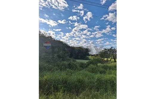 Terreno Comercial Estratégico y Rentable — foto 3