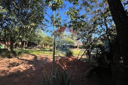 Vendo dos bungalows en nueva colombia
