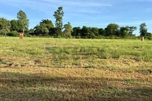 Lote en Filadelfia