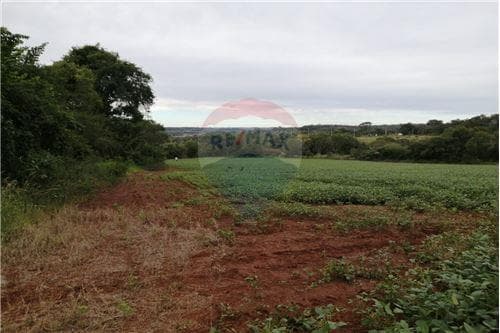 Propiedad Agricola en Capitan Miranda! — foto 3