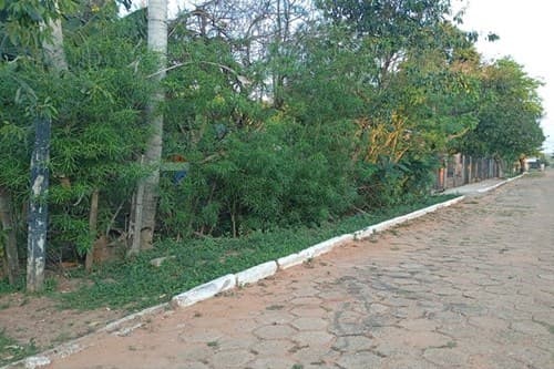 terreno en Belén, Concepción — foto 1