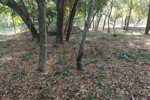 Terreno en San Bernardino Zona Aqua Village, foto 2