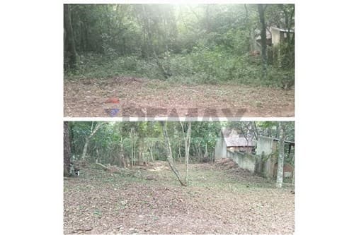 Terreno de 828m² en Nueva Colombia, ¡Invierte ya!, foto 4