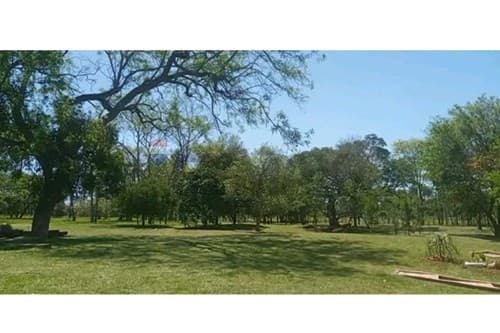 Propiedad de 13,5 ha en piribebuy-cordillera — foto 4