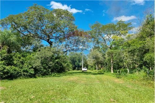 Terreno en altos — foto 2