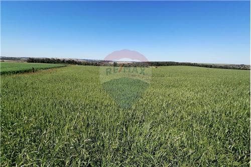En venta terreno de 35 has. 8871 m2 en itapúa poty — foto 3