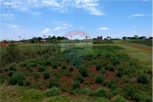 En venta dos terrenos juntos en minga guazu — foto 5