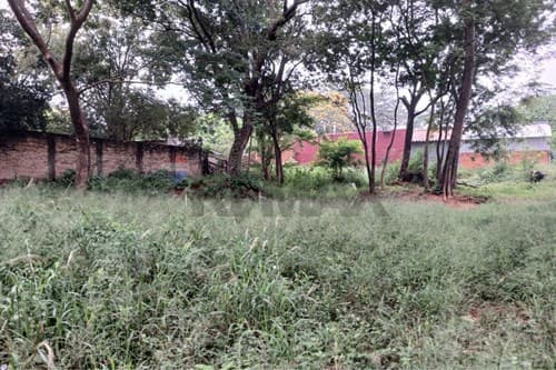 terreno en Ñemby - Mbocayaty — foto 2