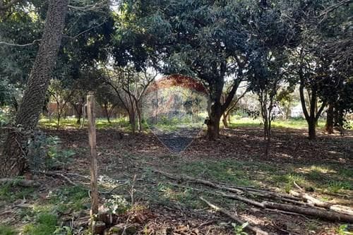 Magnífica oportunidad de inversión (Encarnación), foto 4