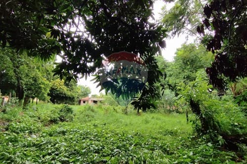 terreno en Ñemby B° Rincon, foto 4