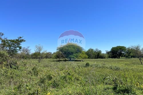 Terreno de 41.529 m2 en Nueva Asunción — foto 1