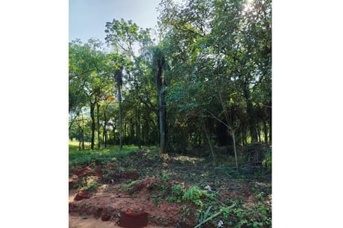 "Terreno en Zárate Isla, Luque" — foto 2