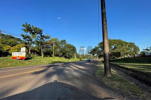 Terreno en san juan del parana — foto 4