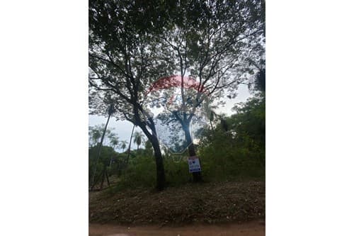 En venta amplio terreno de 1500mt2 en itaugua, foto 5